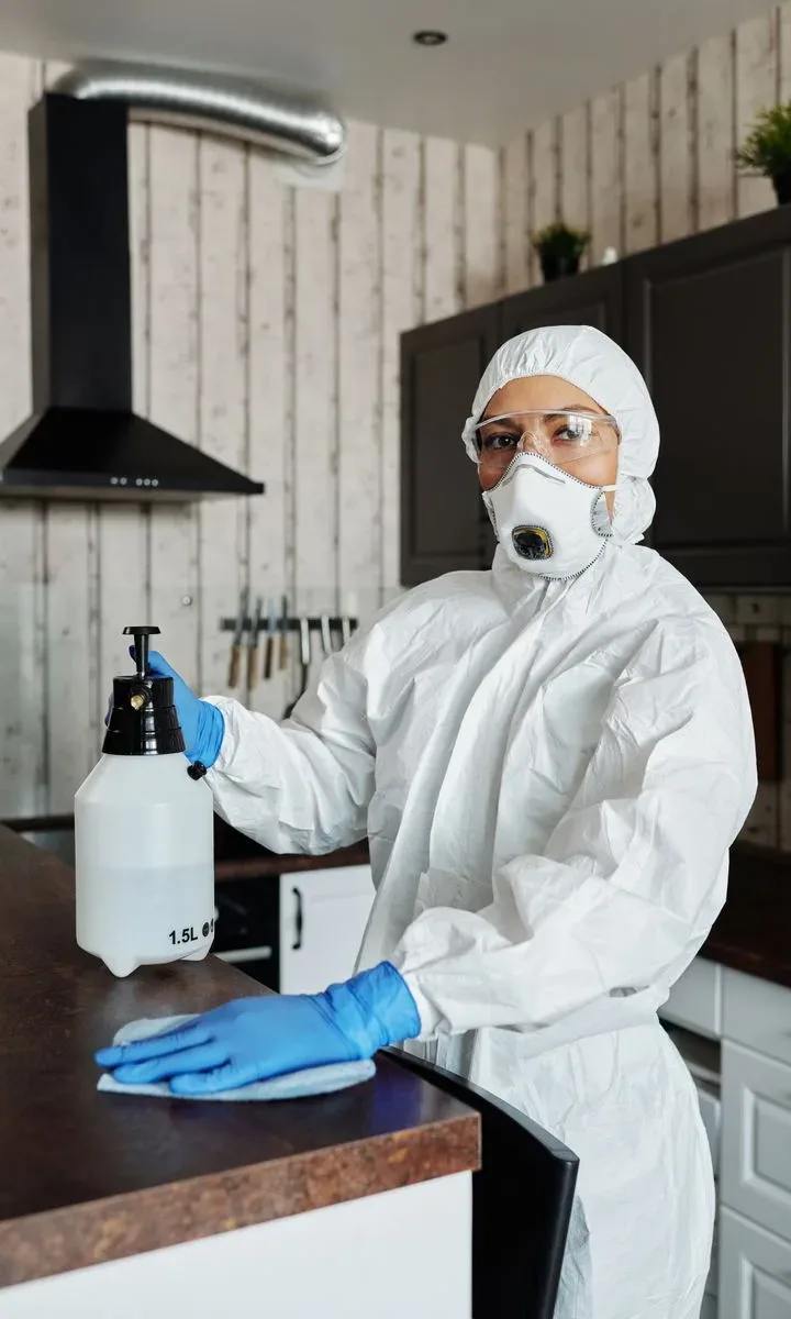 10 productos de limpieza económicos que siempre deberías tener en casa. Persona rociando un limpiador multiusos sobre una encimera de cocina, ilustrando el uso de desinfectantes y multilimpiadores.
