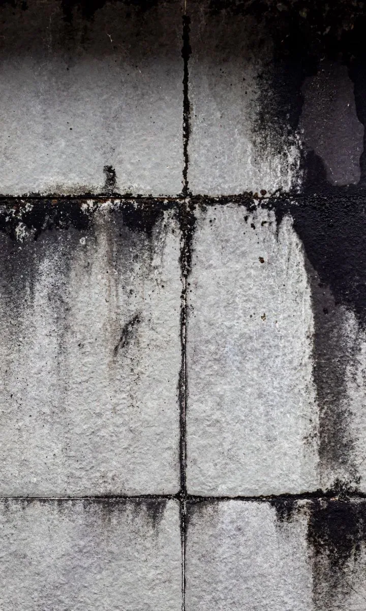 Cómo quitar manchas difíciles de paredes pintadas Primer plano de una mancha de grasa oscura en una pared pintada de blanco, lista para ser limpiada.